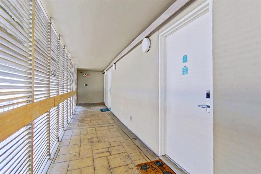 San Luis Sunrise Apart otel Galveston Dış mekan fotoğraf